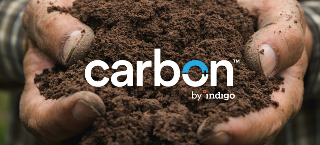 Indigo Ag’s Carbon Farming Program: A New Era for Sustainable Agriculture