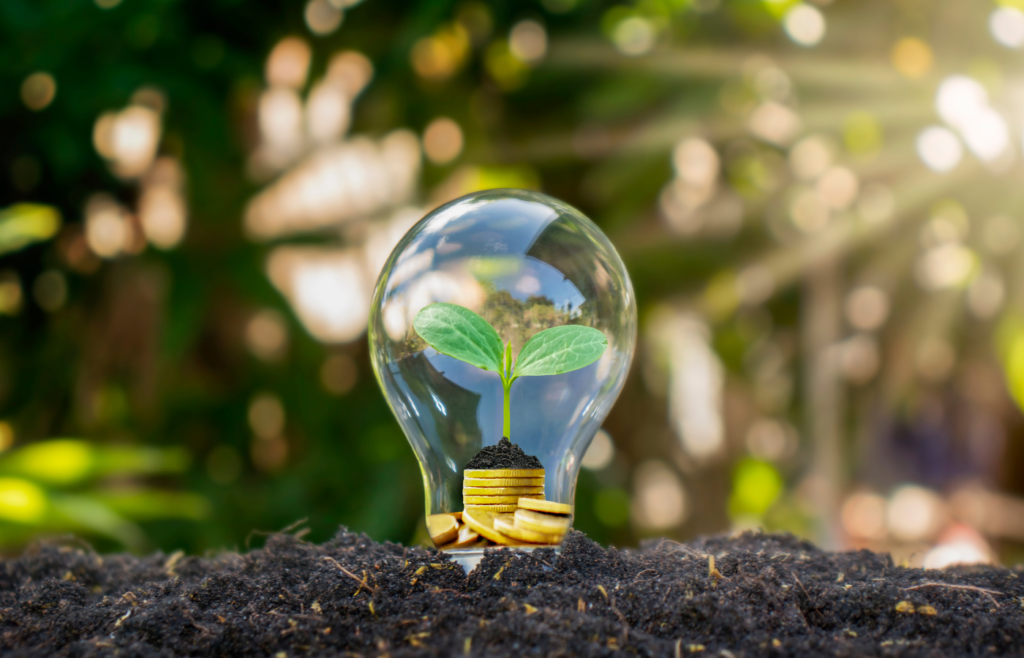 The Road to Sustainable Energy: UN’s Commitment to a Greener Future