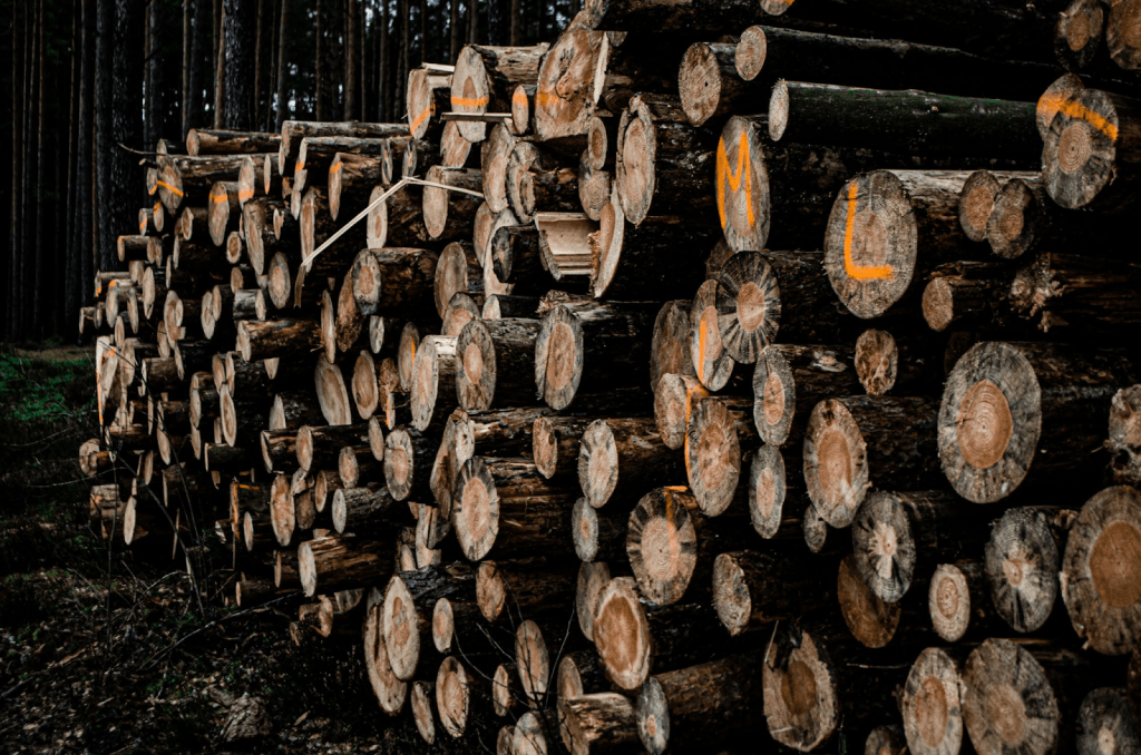 USDA Commits $200 Million to Expand Timber Production and Strengthen Rural Economies